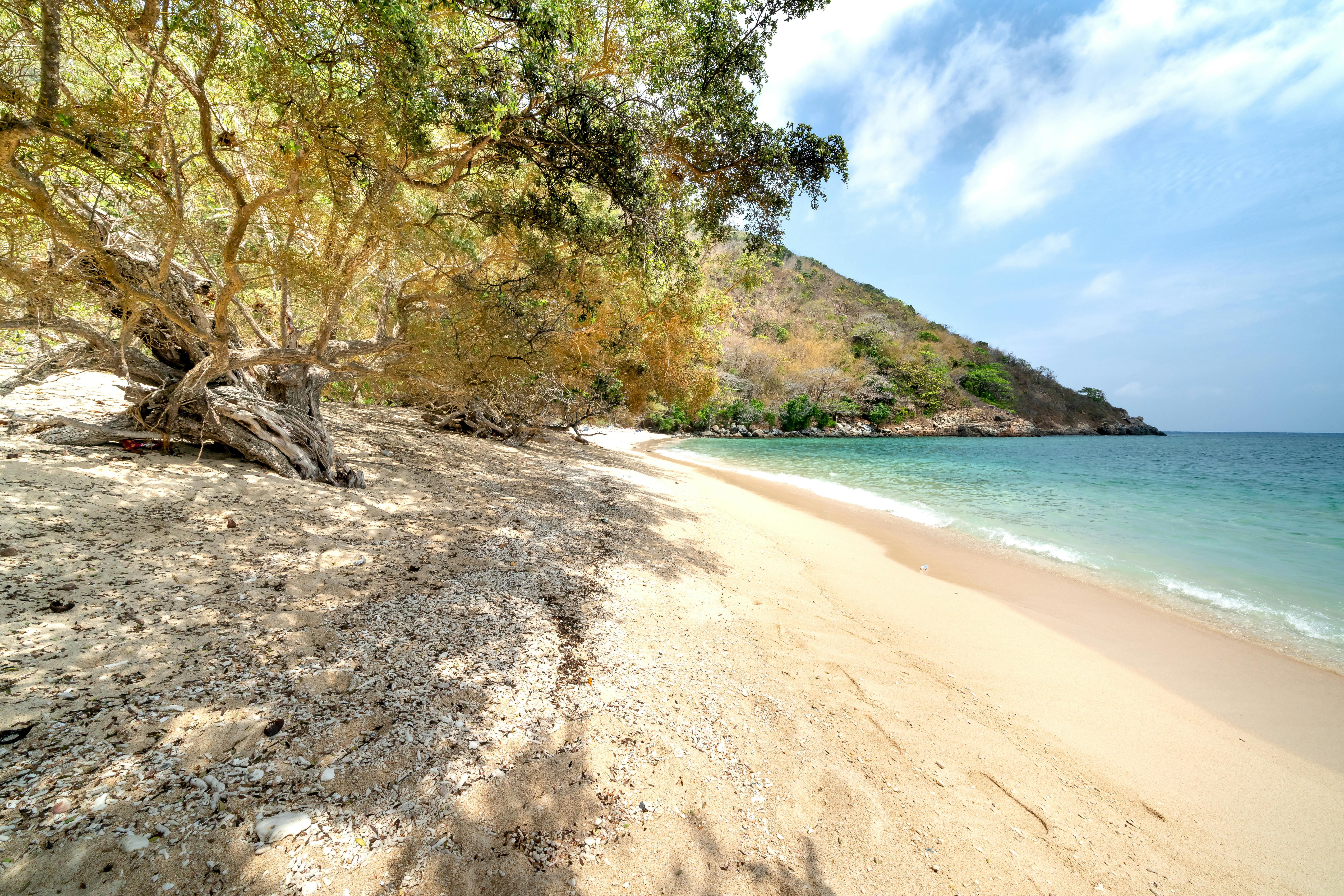 Serene beach scene with clear turquoise water, sandy shore, and lush trees.