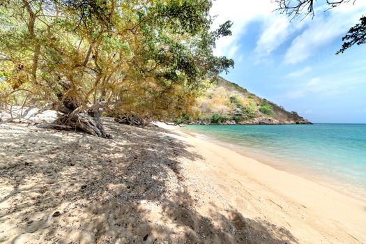 A serene beach scene featuring lush trees, golden sand, and clear blue waters under a bright sky.
