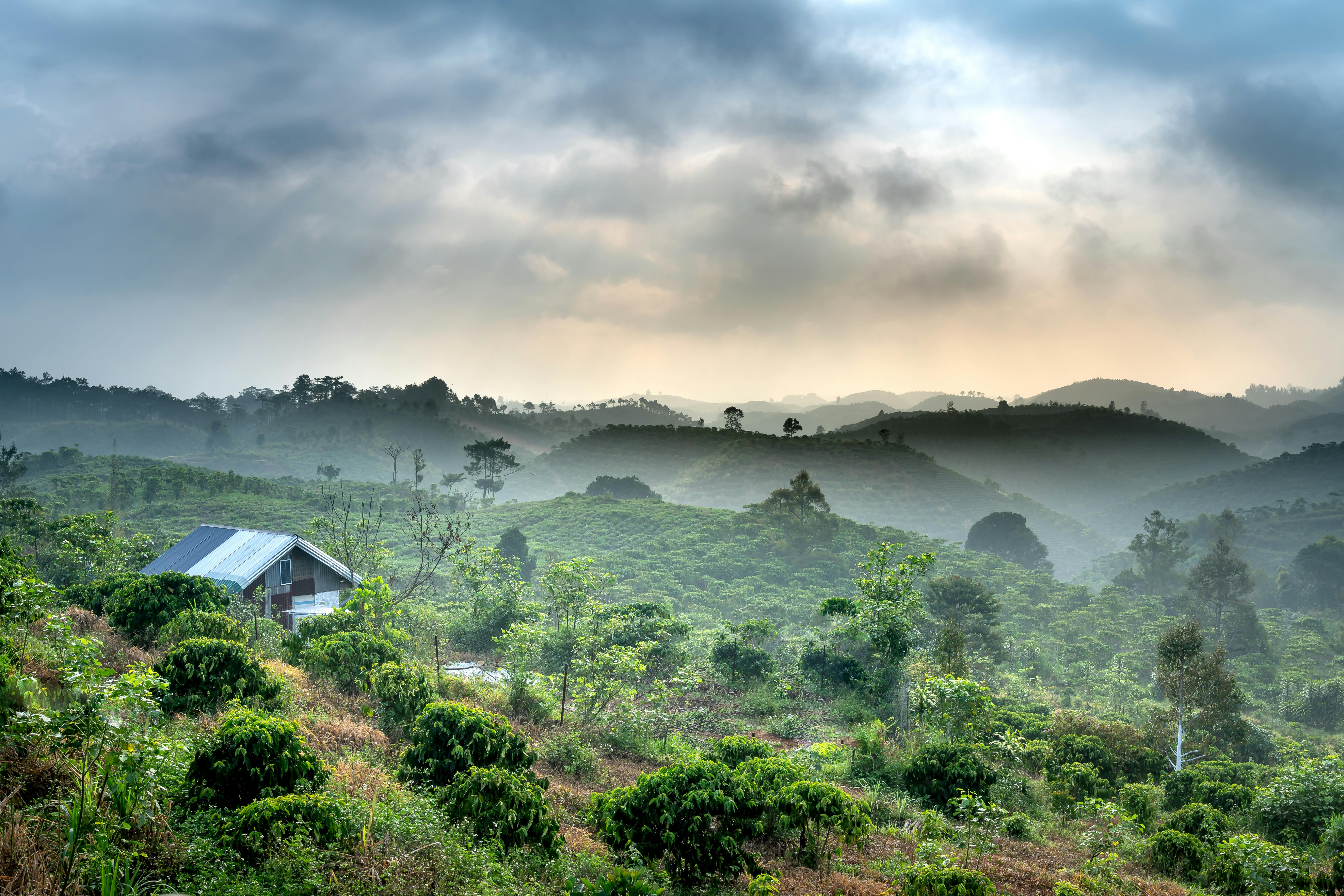 Vì sao người Pháp gọi cà phê Đà Lạt là Moka?