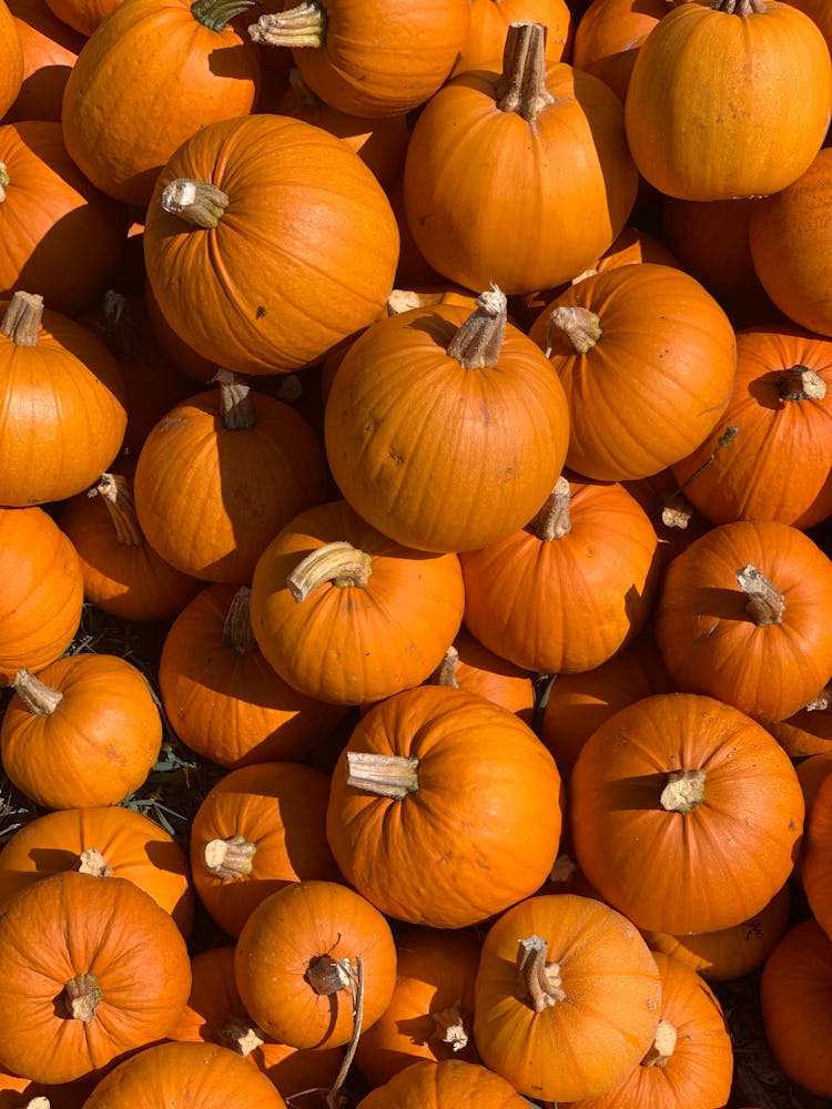 Pile Of Pumpkins