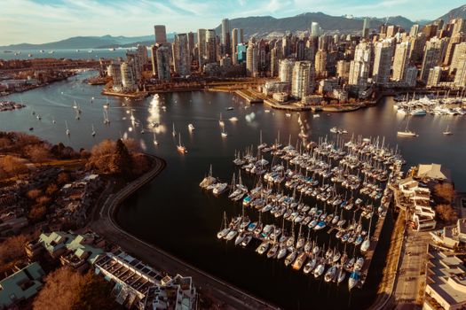 Vancouver Island wildlife watching — Vancouver