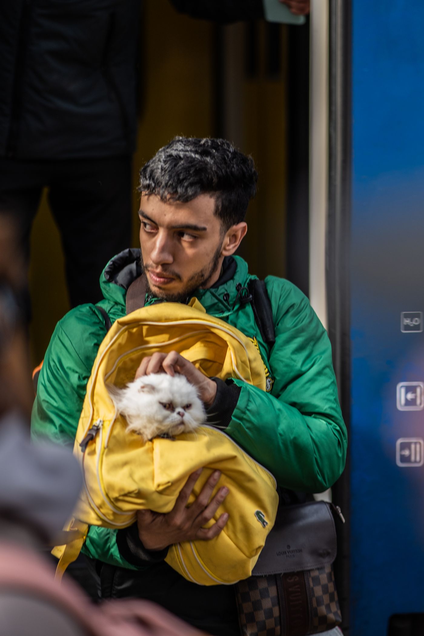 White cat traveling in a yellow pet backpack carrier
