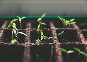 Webinar: Webinar 2/3: How Priority Matrix Supports your Organization Through Growth; Task History
