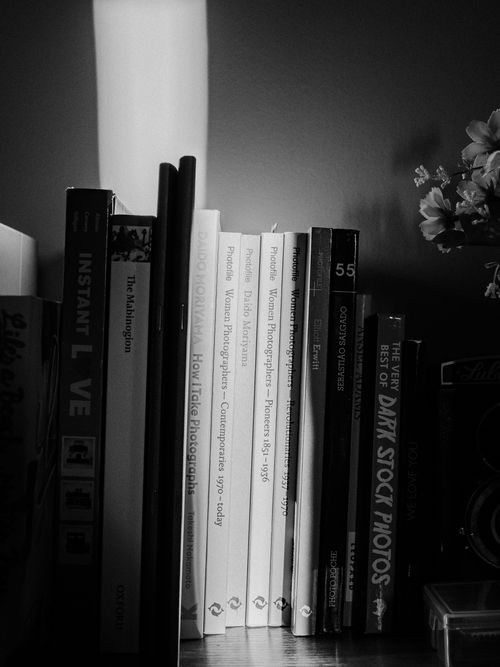 Free Black-and-white photo of a bookshelf with various book spines visible. Stock Photo