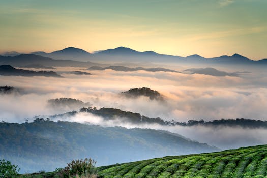 Tranquil mountain landscape with clouds enveloping the hills at sunrise.
