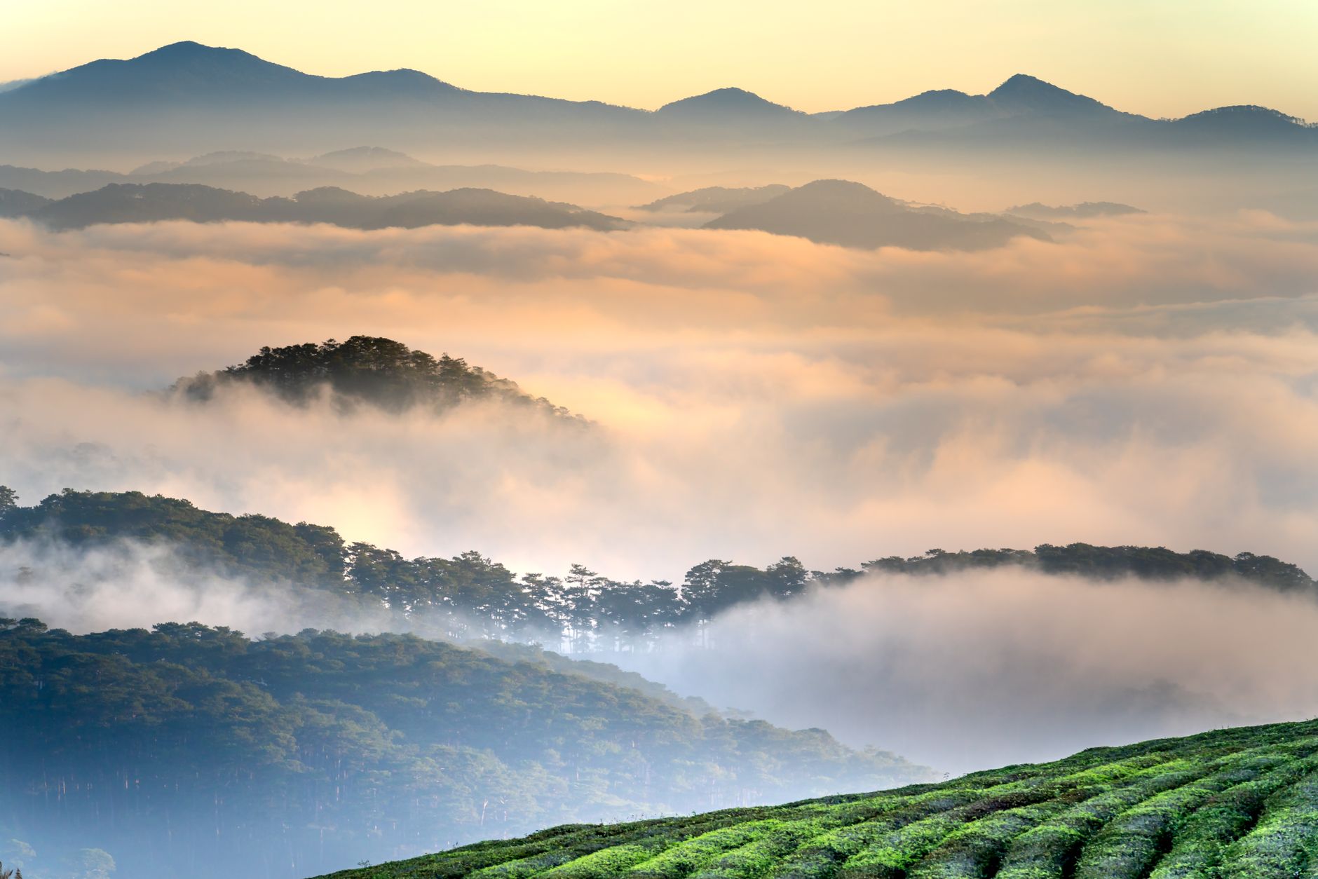 Beautiful sunrise over misty valleys and rolling mountains with a lush green foreground.