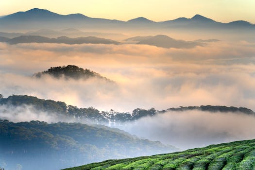 Beautiful sunrise over misty valleys and rolling mountains with a lush green foreground.