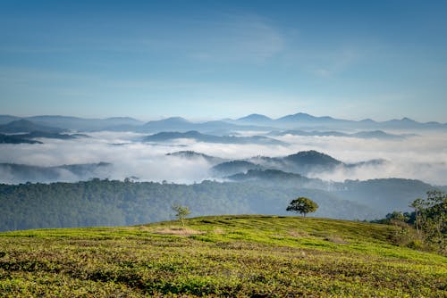 Gratis Fotos de stock gratuitas de montañas, naturaleza, neblina Foto de stock