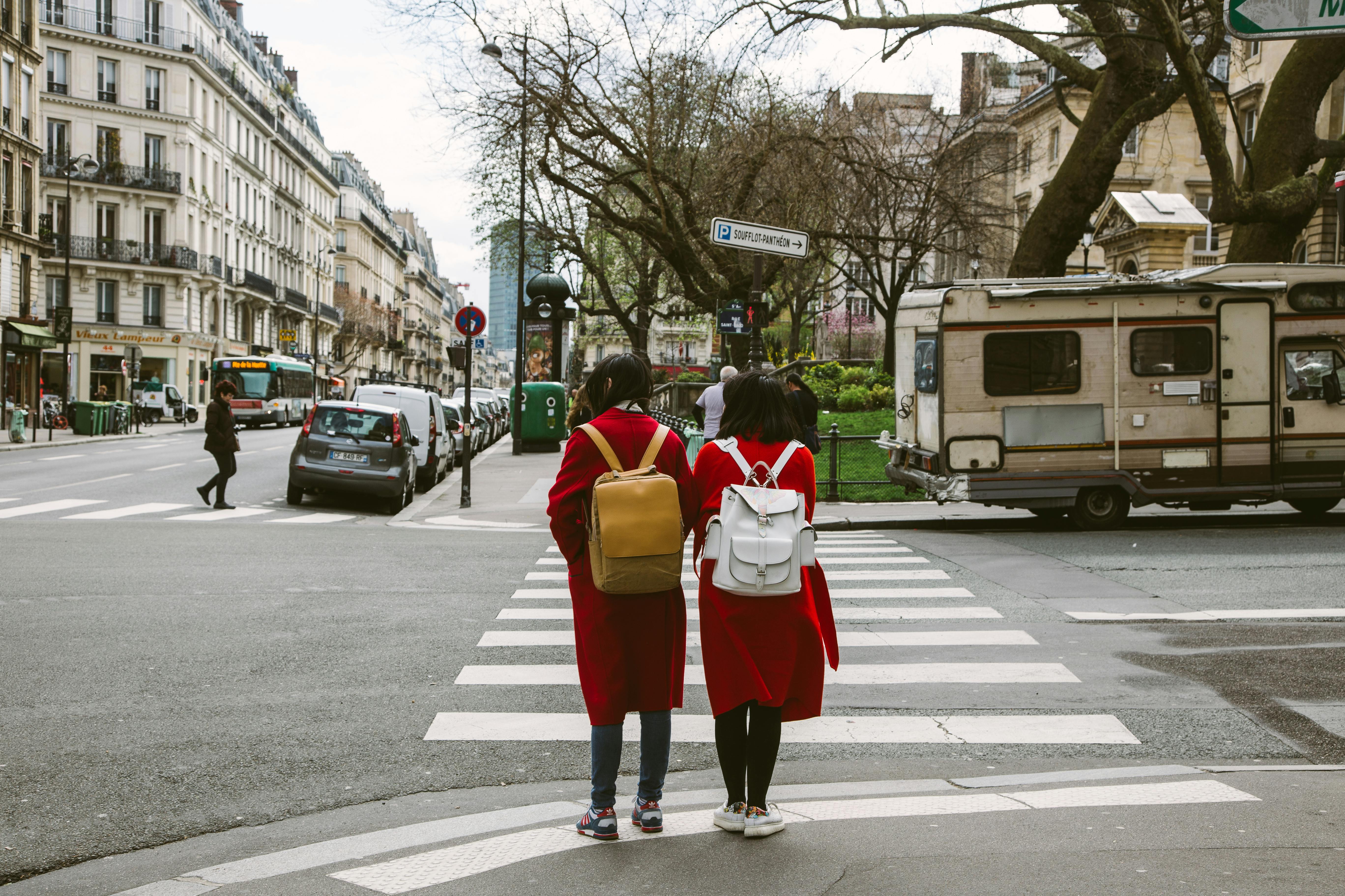 63 Free CC0 Zebra crossing Stock Photos 