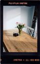 Red and White Flower in Clear Glass Vase on Brown Wooden Table