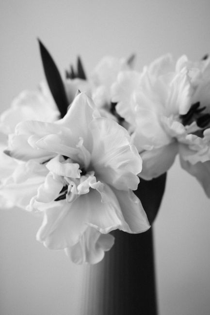 Stunning closeup of a monochrome floral arrangement highlighting delicate petals and elegant simplicity.