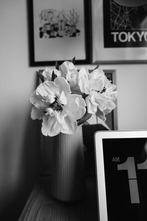 Free Black and white flowers in a vase on a table with a Tokyo poster and clock. Stock Photo