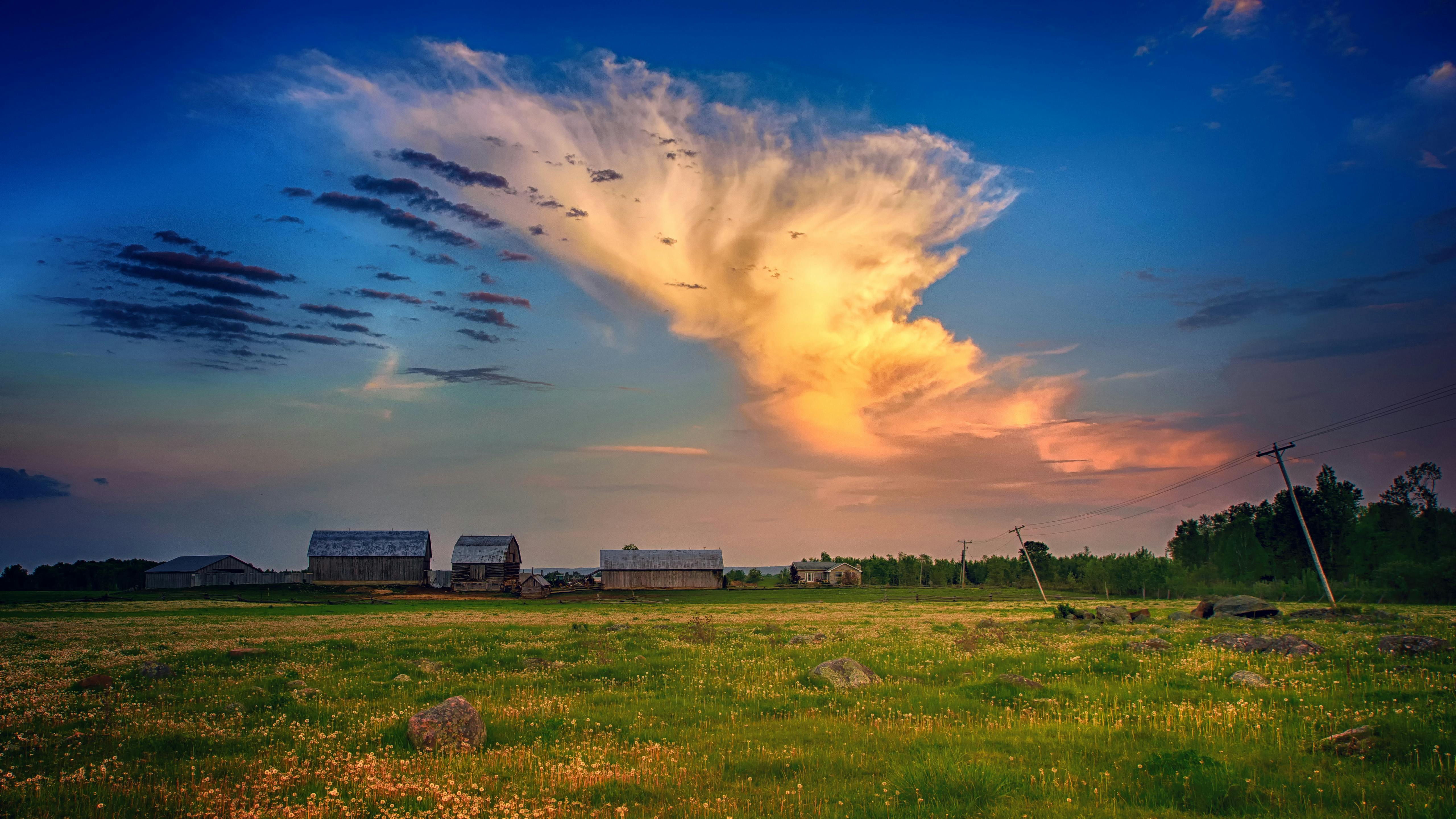 Advanced naturopathic treatments and tools