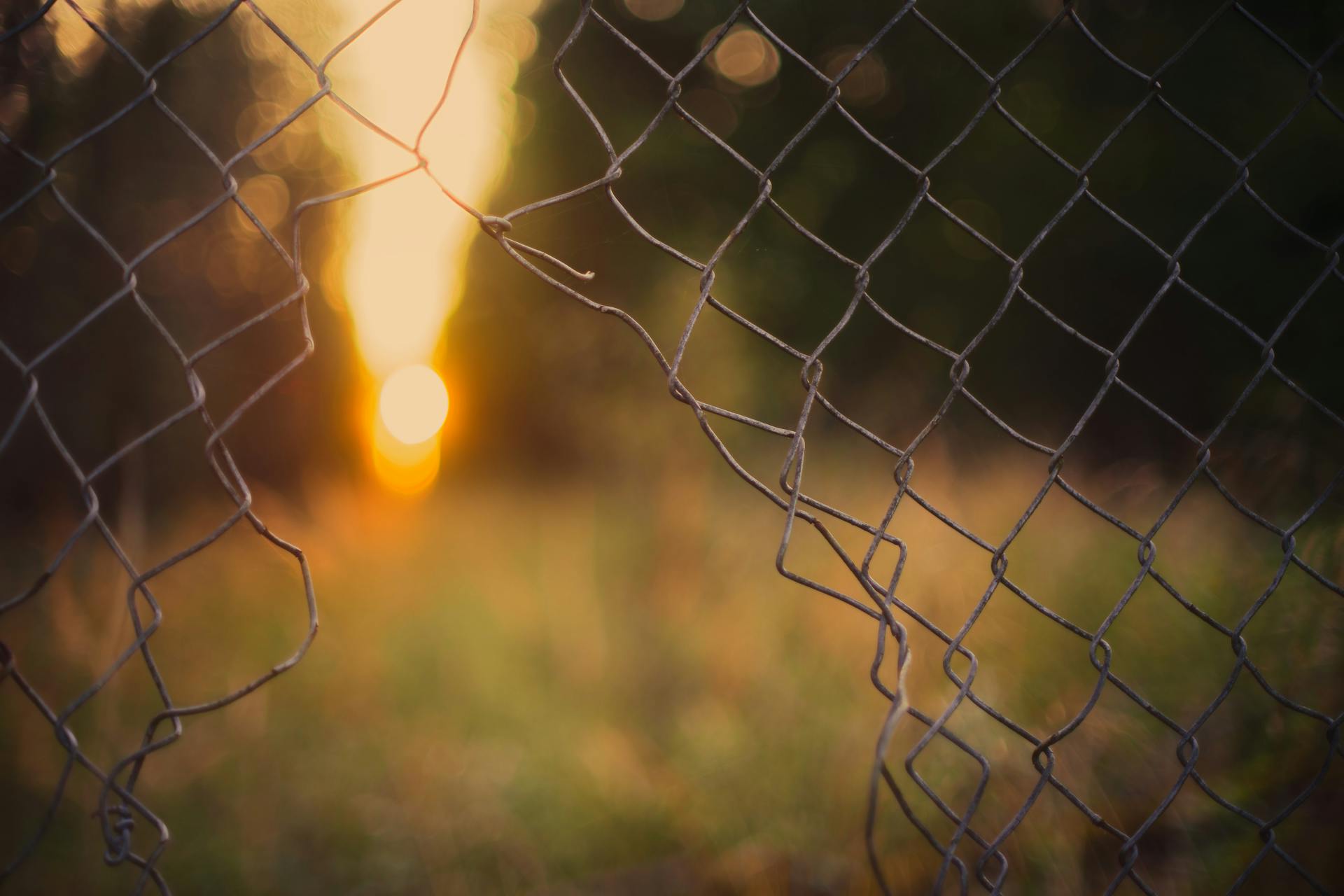 Gray Wire Fence