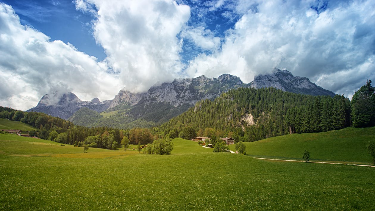 Campo De Hierba Verde Con árboles Y Montañas En El Fondo Bajo Un Cielo Nublado