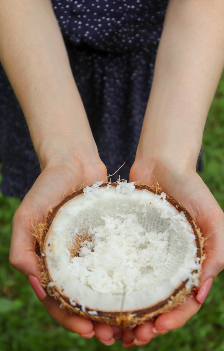 Close-up Photo Of Shredded Coconut 