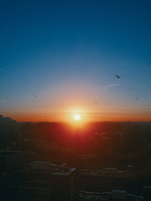 天際線, 日出, 日落 的 免费素材图片