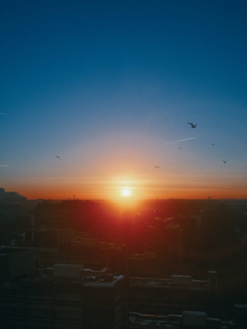 Silhouette of City Skyline during Sunset