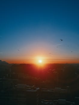 A breathtaking view of the city skyline during sunrise with birds flying in the blue sky.