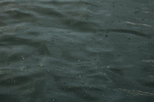 Bezpłatne Darmowe zdjęcie z galerii z krople deszczu, woda Zdjęcie z galerii