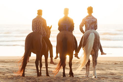 Back View of Men Riding Horses on the Shore