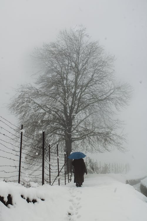 Monochrome Photo of Person walking on a Snow-Covered Path near a Bare Tree