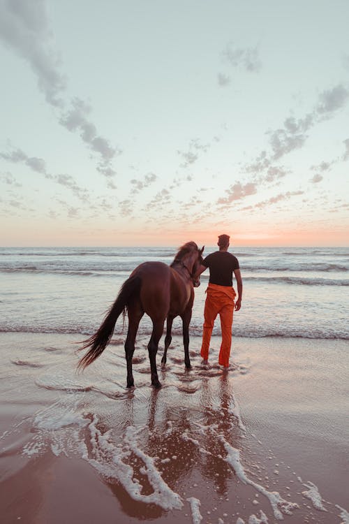 Horse and Man standing by the Shore 