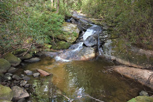 Gratis stockfoto met waterval