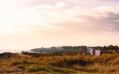 Free stock photo of beachside, coastal landscape