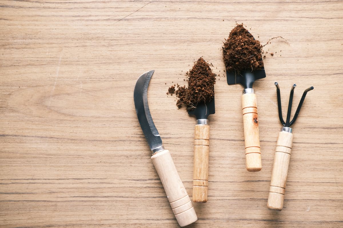 Les meilleurs outils de jardin en 2026 - 5. Les outils motorisés et sur batterie pour les grands jardins