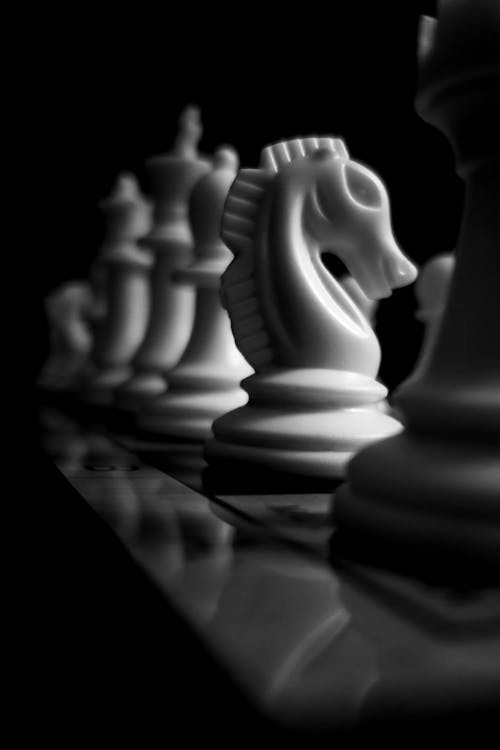 Monochrome Photo of Chess Pieces 