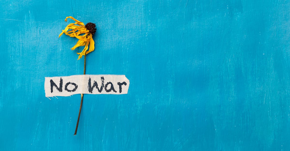 連任成功的勒科爾努呼籲政治混亂中保持冷靜穩定