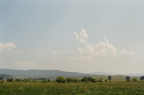 Green Grass Field Under the Blue Sky