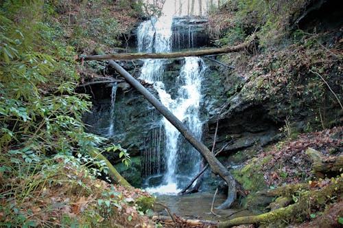 Gratis stockfoto met waterval