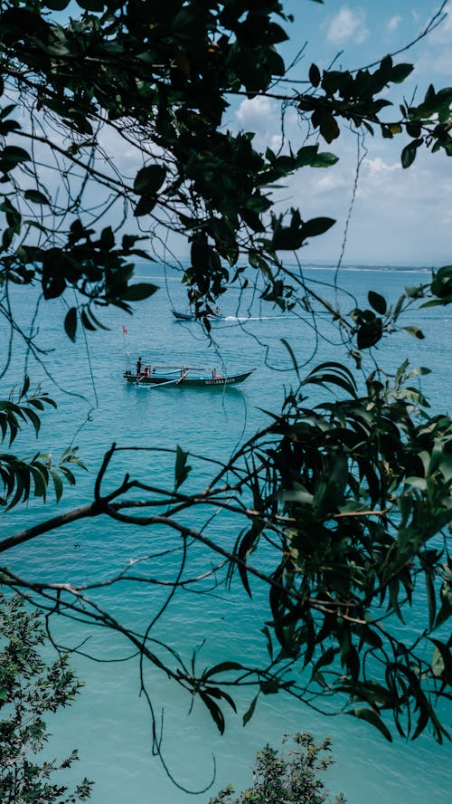 Δωρεάν στοκ φωτογραφιών με βάρκα, δέντρα, θάλασσα