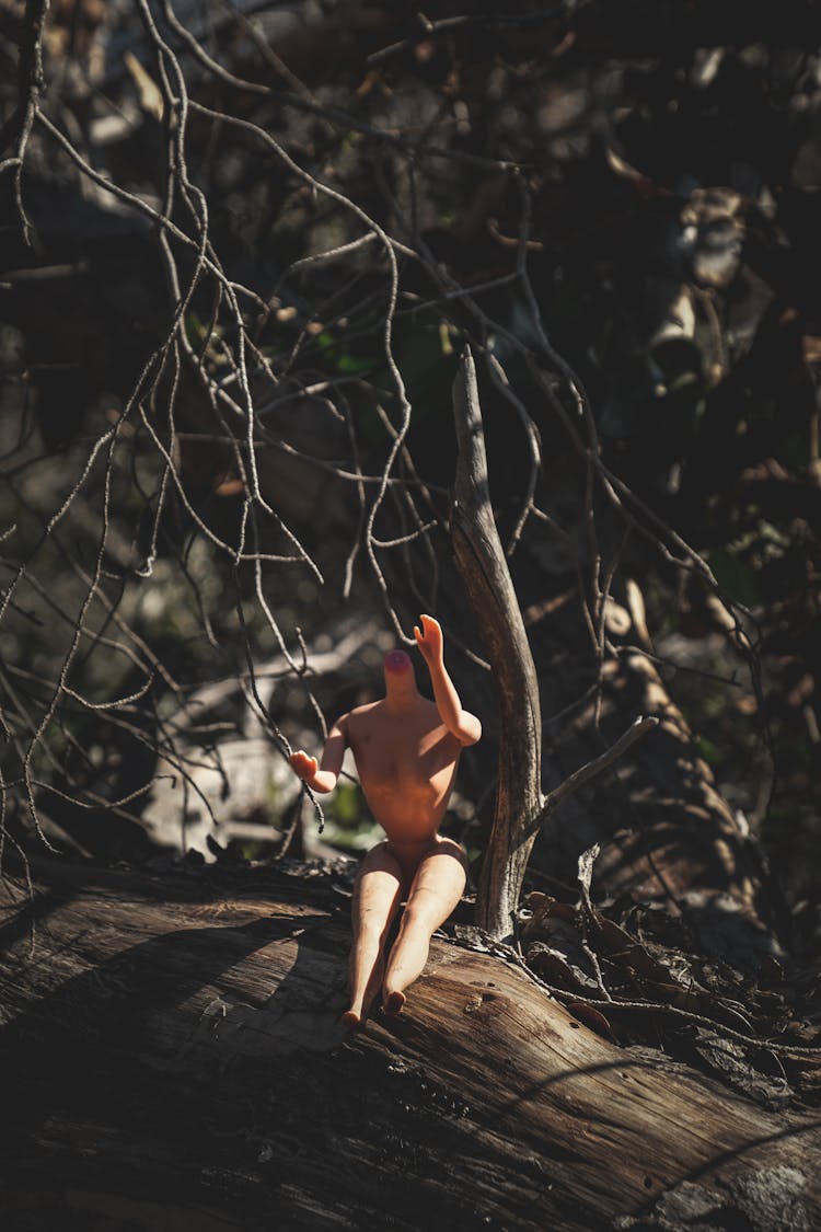 Headless Body Doll Sitting On Tree Bark