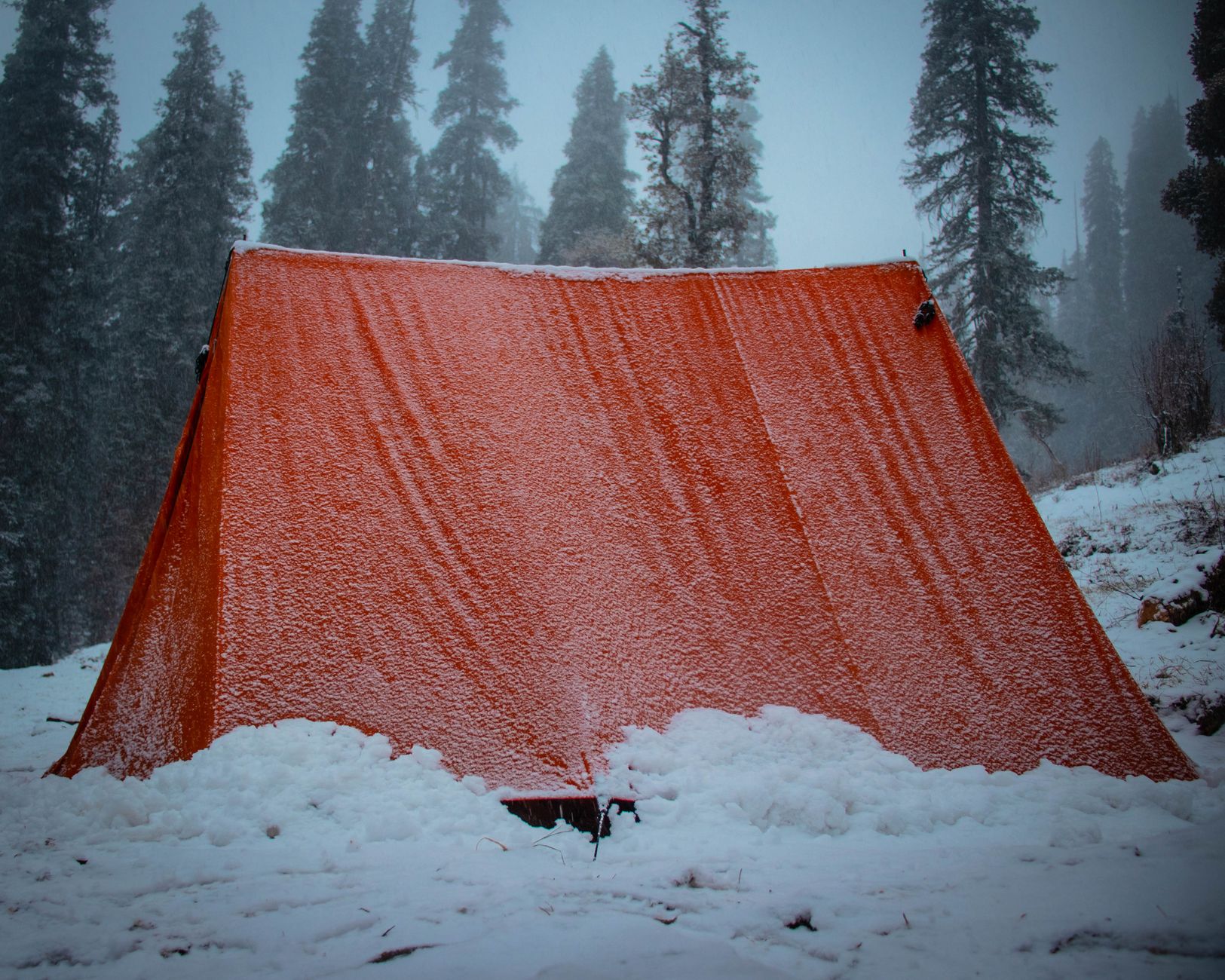 solo ultralight tent in forest