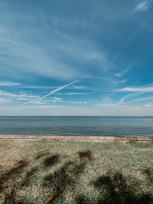 Green Grass Field Near Sea Under Blue Sky