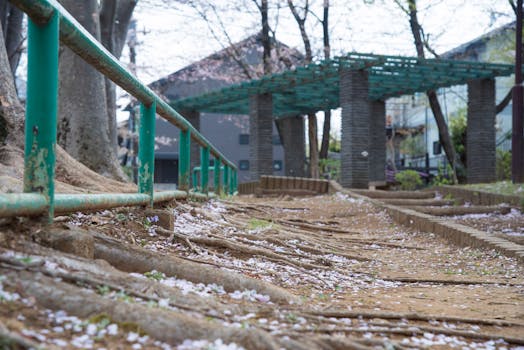 春天，乡村公园的小路覆盖着樱花，并设有坚固的栏杆和建筑元素