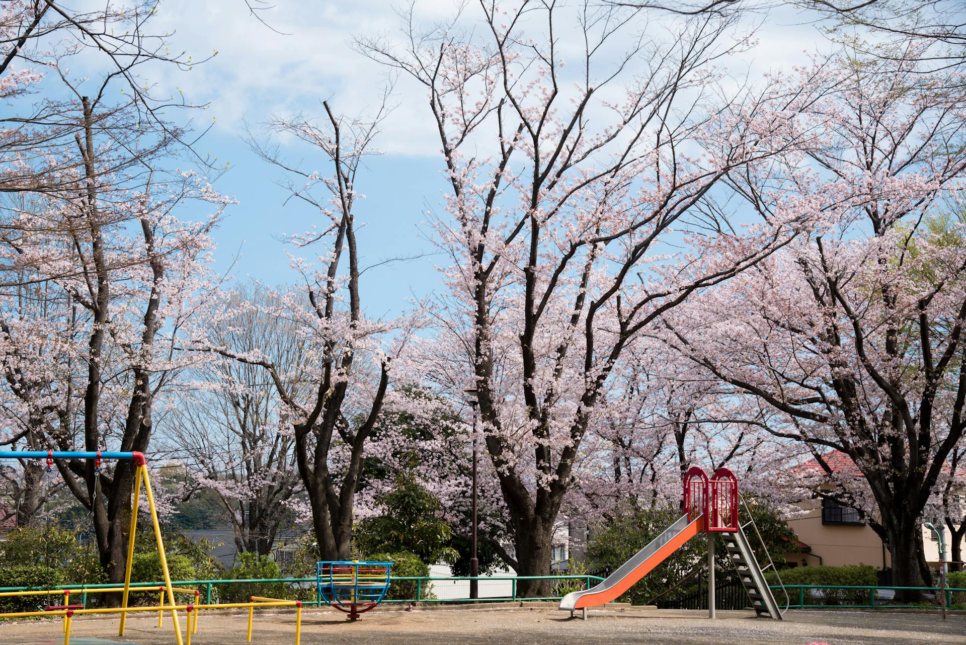 Photography of Playground