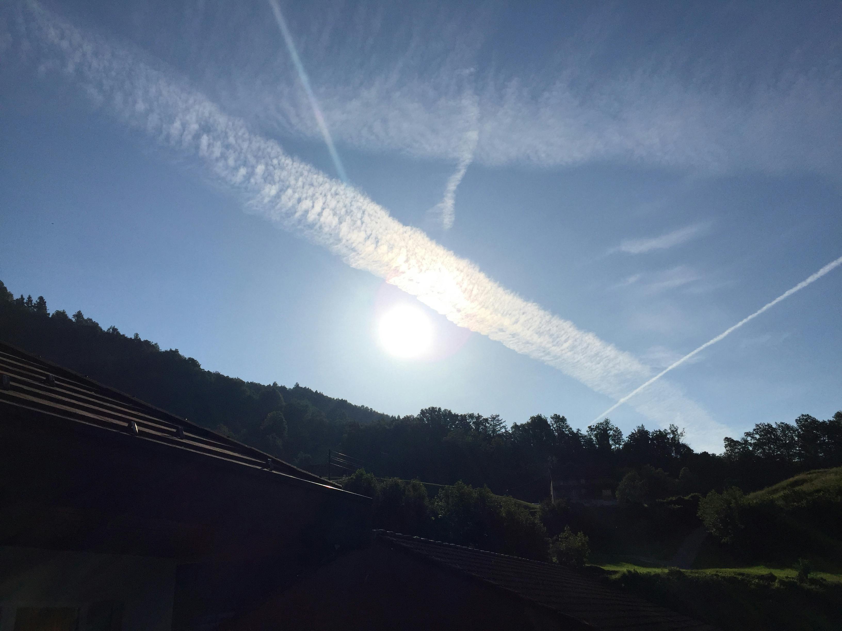 Free stock photo of blue skies, fair weather, sun