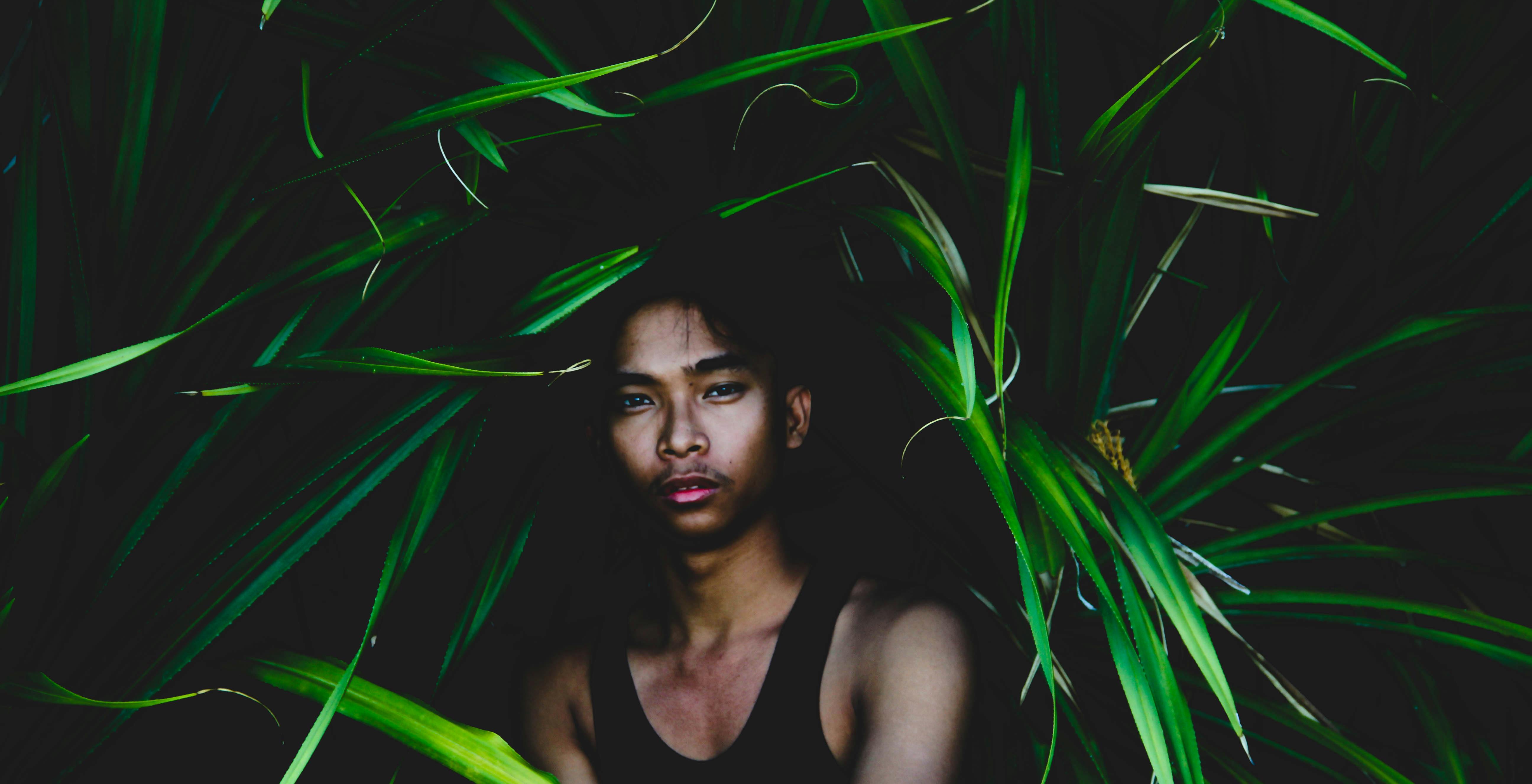 热带环境中，一位被郁郁葱葱的绿叶包围的男人的迷人肖像