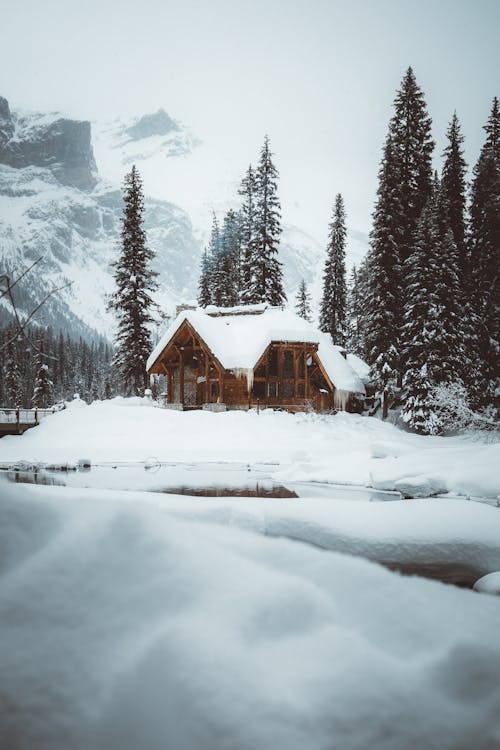 Ilmainen kuvapankkikuva tunnisteilla flunssa, lumen peitossa, luonto