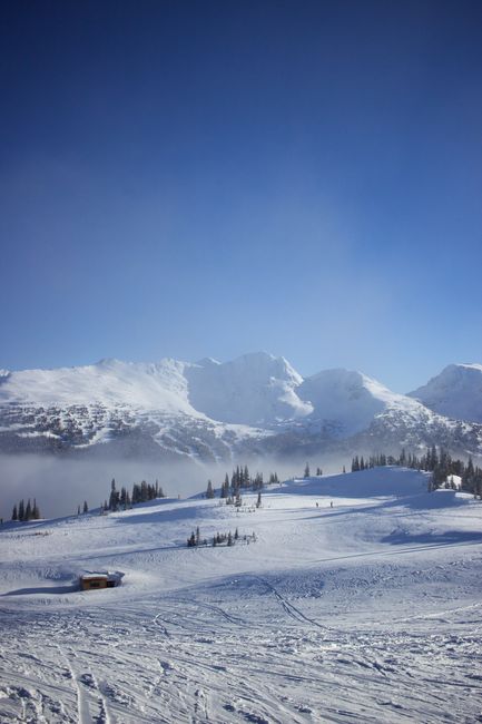 A breathtaking view of snowy mountains and trees under a clear blue sky in Whistler, Canada.