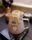 coffee brewing
