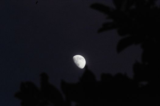 lunare