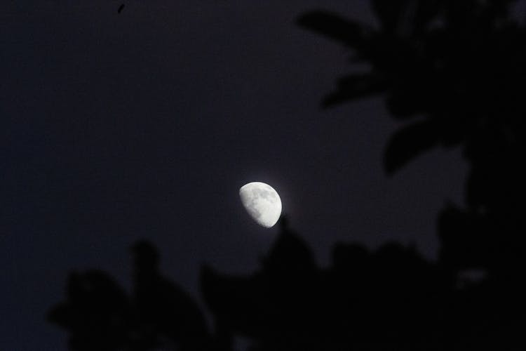 A Moon At Waxing Gibbous Phase