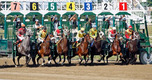 Horse Race Starting Gate