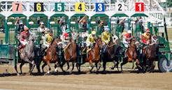 Horse Race Starting Gate