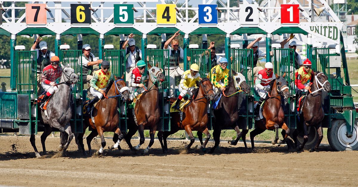 Horse Race Starting Gate · Free Stock Photo